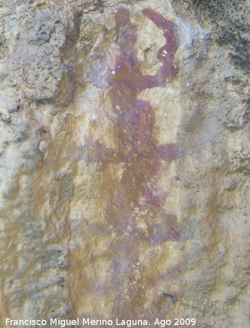 Pinturas rupestres del Abrigo de las Palomas - Pinturas rupestres del Abrigo de las Palomas. Ramiforme con cuernos