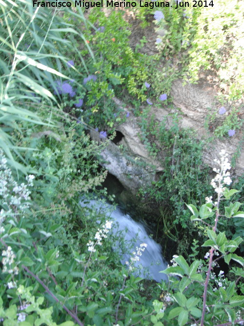 Cascada del Arroyo Los Morales II - Cascada del Arroyo Los Morales II. 