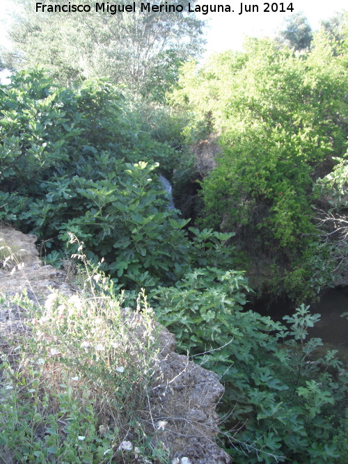 Cascada del Arroyo Los Morales II - Cascada del Arroyo Los Morales II. 