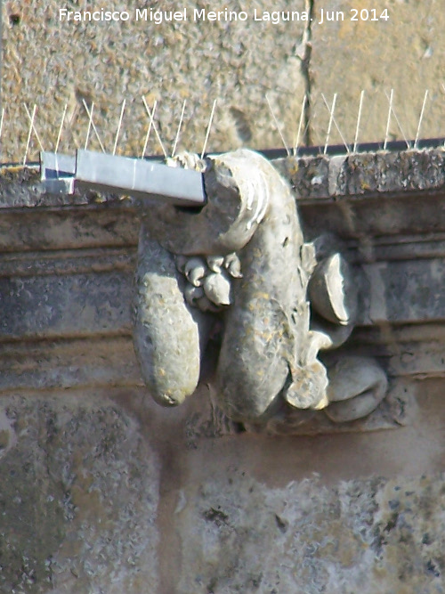 Castillo de Sabiote. Patio de Armas - Castillo de Sabiote. Patio de Armas. Grgola