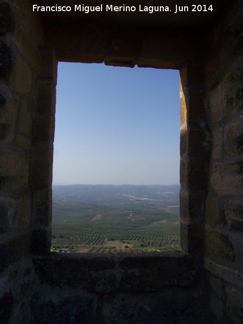 Castillo de Sabiote. Patio de Armas - Castillo de Sabiote. Patio de Armas. Ventana