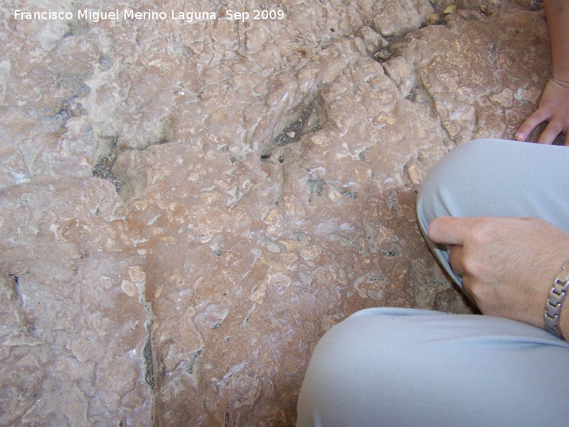 Pinturas rupestres del Abrigo de la Cantera - Pinturas rupestres del Abrigo de la Cantera. Suelo desgastado