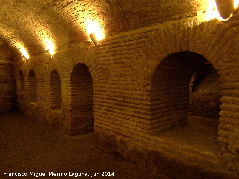 Castillo de Sabiote. Bodegas - Castillo de Sabiote. Bodegas. Pared de unin entre las dos naves