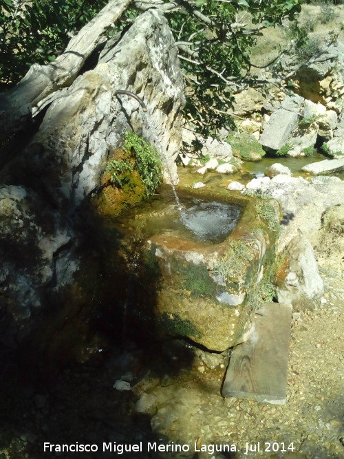 Fuente de la Central - Fuente de la Central. 