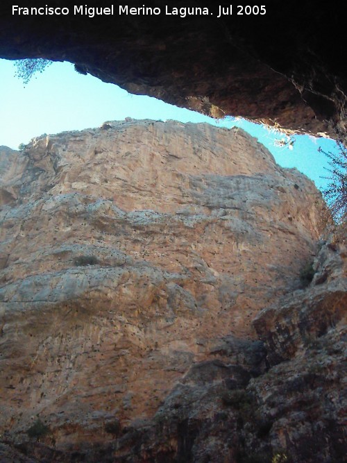 Cueva de los Caones - Cueva de los Caones. 