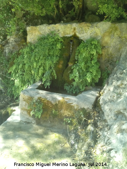 Fuente de la Cerrada del Puente de Piedra - Fuente de la Cerrada del Puente de Piedra. 