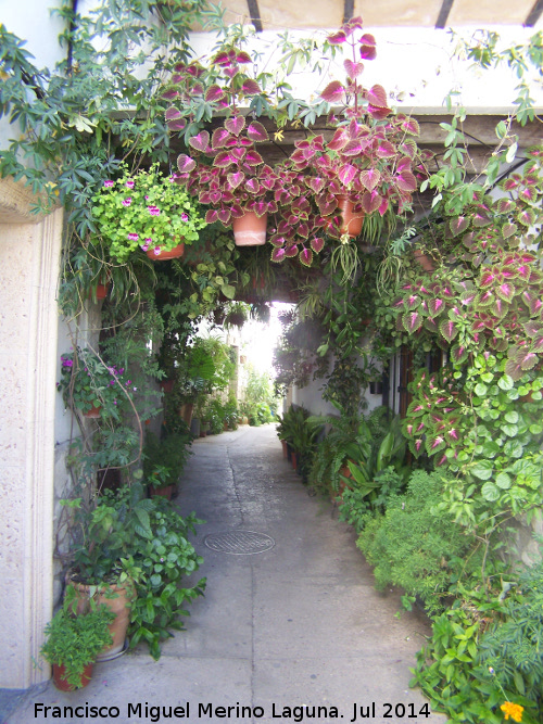 Calle Cobertizo - Calle Cobertizo. 