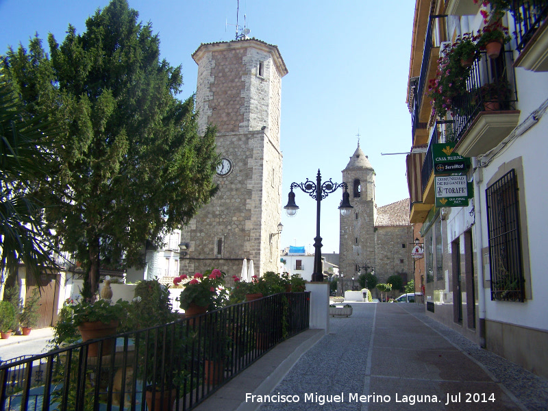 Paseo Alcalde Juan Martnez - Paseo Alcalde Juan Martnez. 