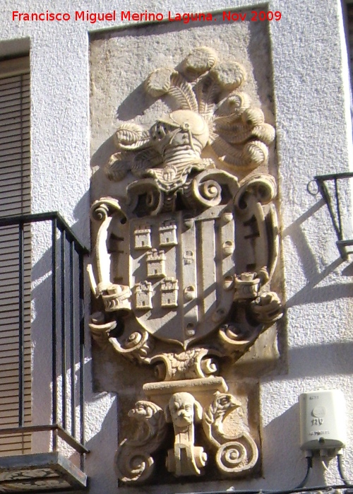 Palacio de Gracia - Palacio de Gracia. Escudo derecho