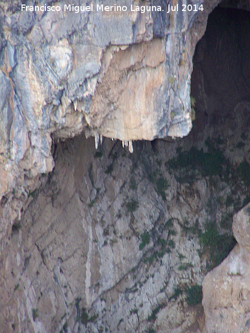 Cueva de las Palomas - Cueva de las Palomas. Estalactitas