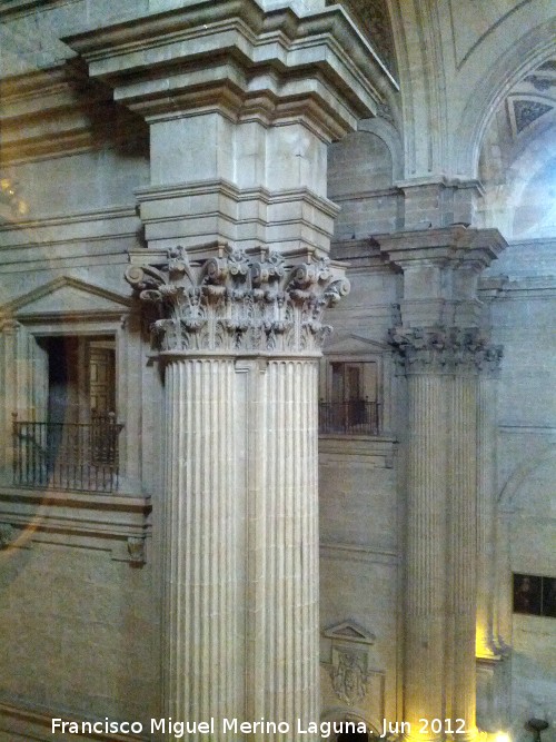 Catedral de Jaén. Columnas - Catedral de Jaén. Columnas. 