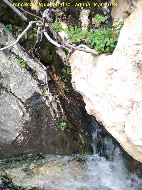 Fuente de la Pea - Fuente de la Pea. 