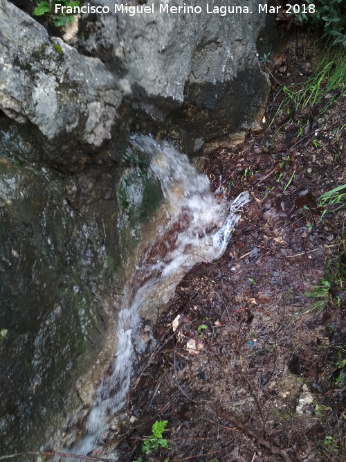 Fuente de la Pea - Fuente de la Pea. 