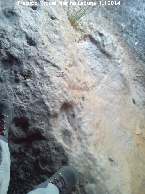 Cueva del Frontn - Cueva del Frontn. Altura