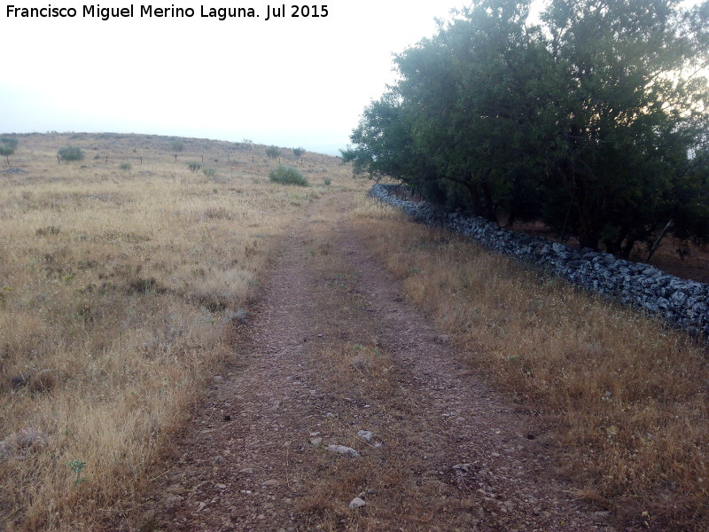 Caada Real Los Villares La Guardia - Caada Real Los Villares La Guardia. 