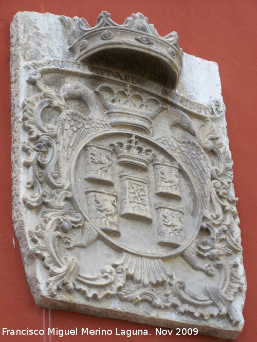 Palacio Torres de Navarra - Palacio Torres de Navarra. Escudo