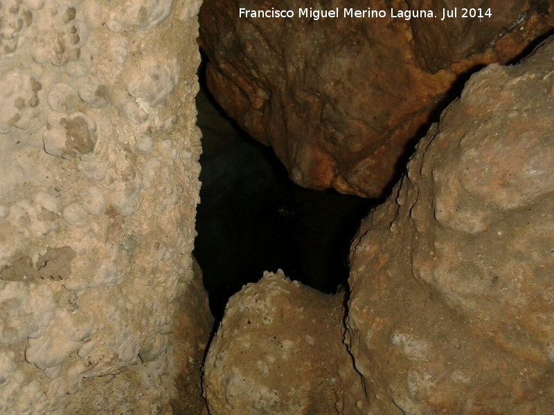 Cueva de la Murcielaguina - Cueva de la Murcielaguina. Galera