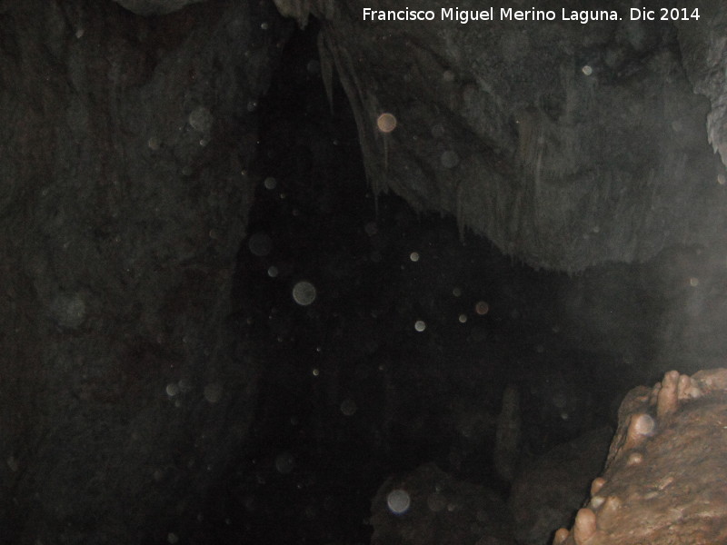 Cueva de la Murcielaguina - Cueva de la Murcielaguina. 