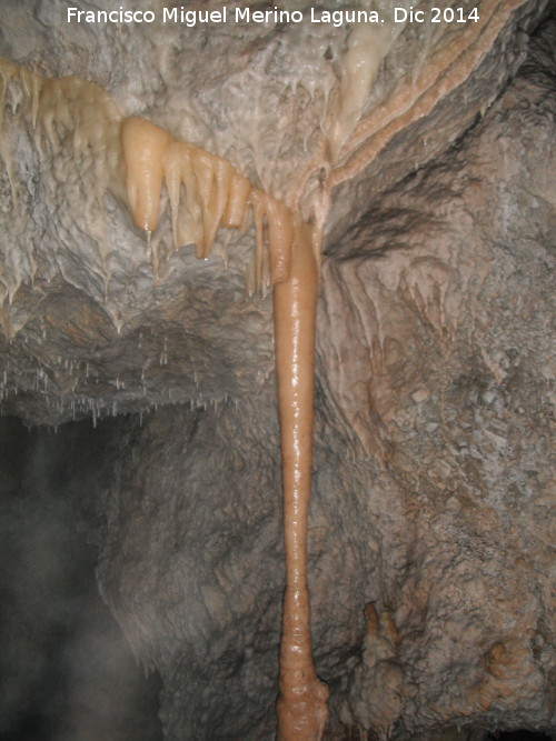 Cueva de la Murcielaguina - Cueva de la Murcielaguina. Columna