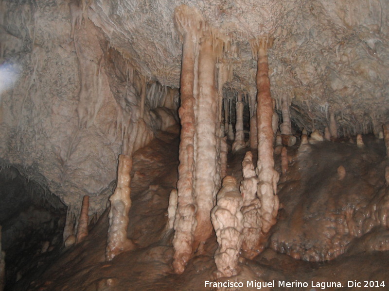 Cueva de la Murcielaguina - Cueva de la Murcielaguina. Columnas