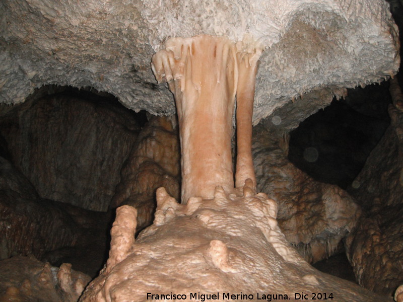 Cueva de la Murcielaguina - Cueva de la Murcielaguina. Columnas