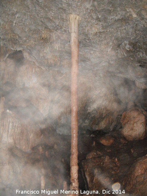 Cueva de la Murcielaguina - Cueva de la Murcielaguina. Columna