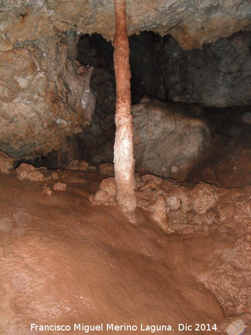 Cueva de la Murcielaguina - Cueva de la Murcielaguina. Columna