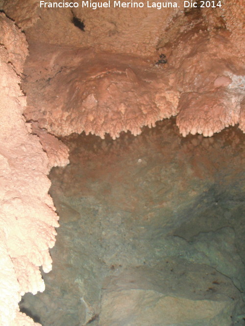 Cueva de la Murcielaguina - Cueva de la Murcielaguina. Boca del Lago