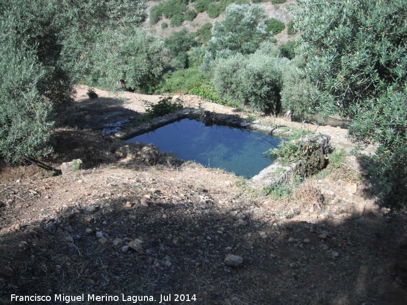 Alberca de la Casilla Molino - Alberca de la Casilla Molino. 