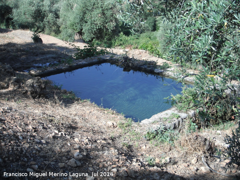 Alberca de la Casilla Molino - Alberca de la Casilla Molino. 