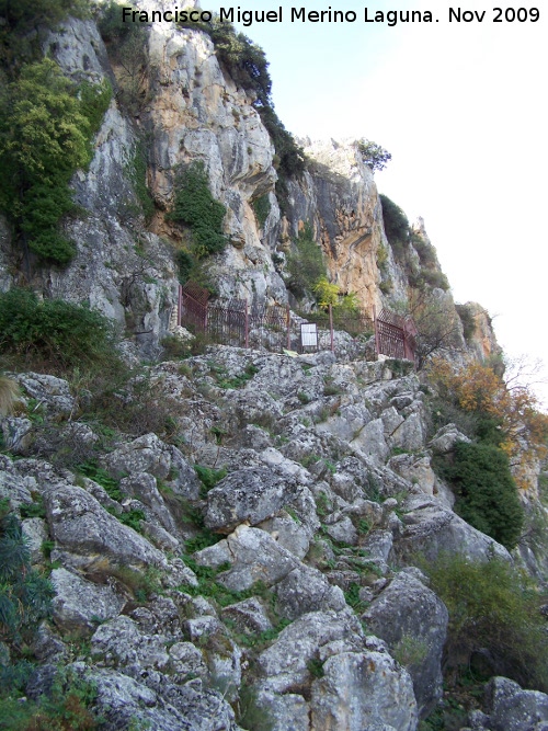 Cueva de la Graja - Cueva de la Graja. 