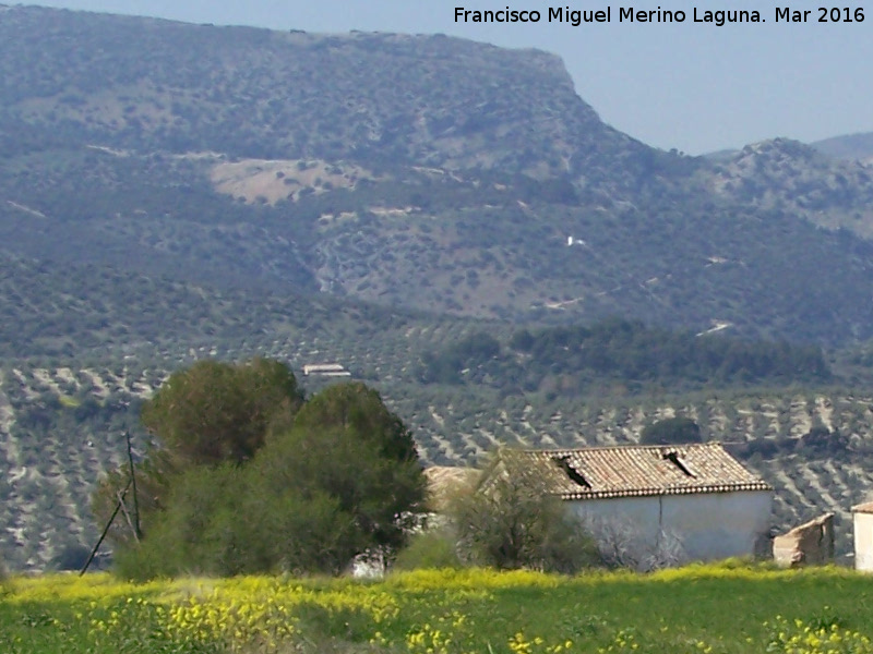 Cortijo de los Naranjos - Cortijo de los Naranjos. 