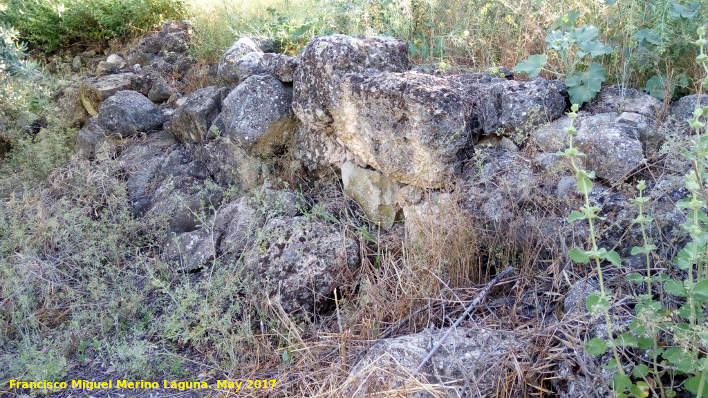 Cerro Alcal - Cerro Alcal. 