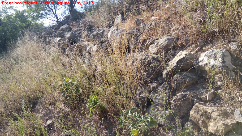 Cerro Alcal - Cerro Alcal. Muralla