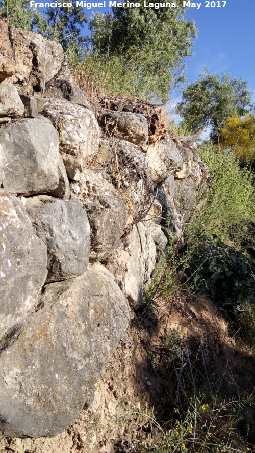 Cerro Alcal - Cerro Alcal. Muralla