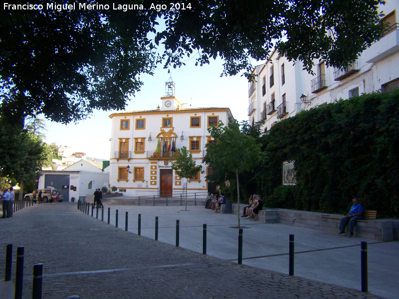 Plaza de la Constitucin - Plaza de la Constitucin. 