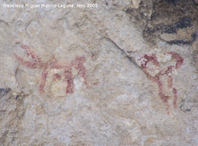Pinturas rupestres de la Cueva de la Graja-Grupo VIII - Pinturas rupestres de la Cueva de la Graja-Grupo VIII. Una cabra o toro (por la disposicin de sus cuernos) y un antropomorfo tipo phi con dos piernas y sin cabeza