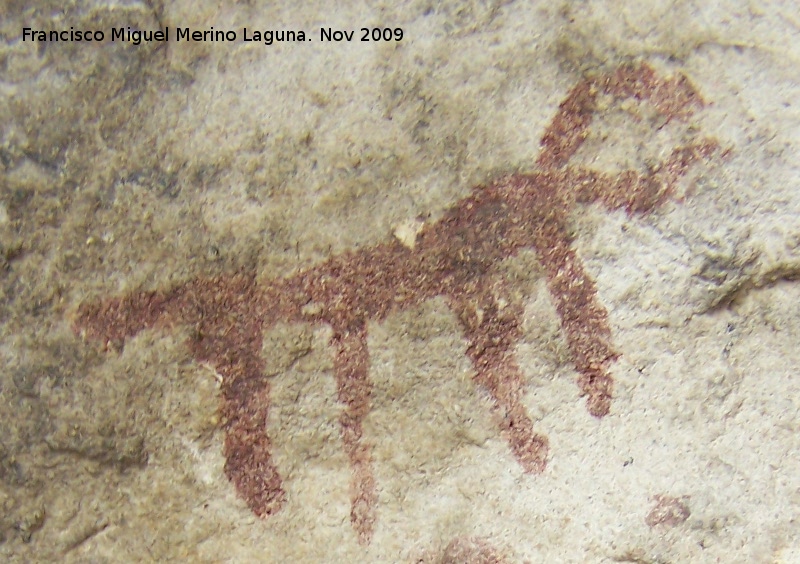 Pinturas rupestres de la Cueva de la Graja-Grupo VIII - Pinturas rupestres de la Cueva de la Graja-Grupo VIII. Cabra o toro (por la disposicin de sus cuernos)