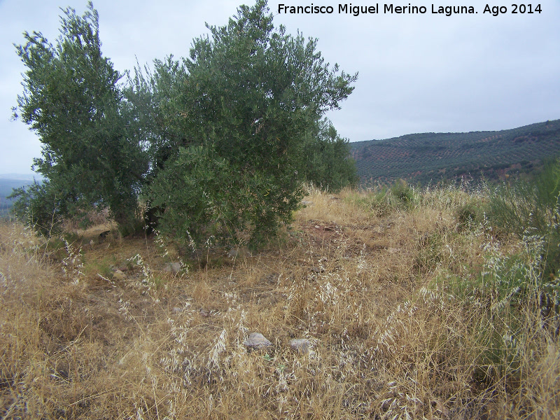 Necrpolis del la Sierra Realona - Necrpolis del la Sierra Realona. 