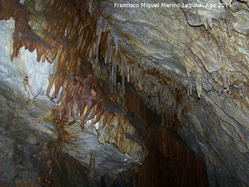 Cueva de la Canalizacin - Cueva de la Canalizacin. Estalactitas