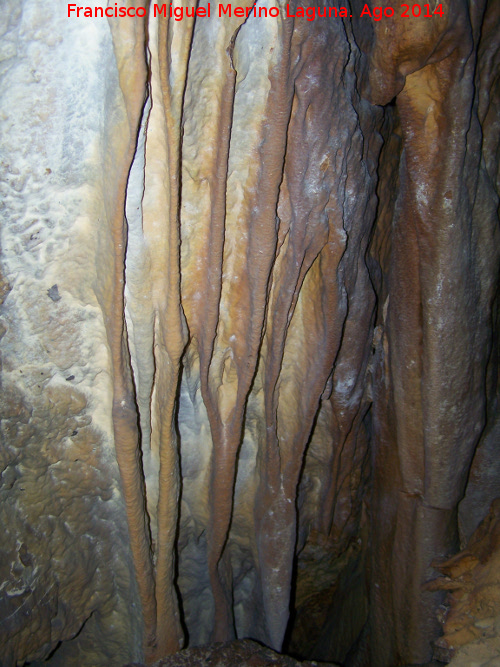 Cueva de la Canalizacin - Cueva de la Canalizacin. 