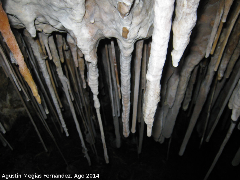 Cueva de la Canalizacin - Cueva de la Canalizacin. Estalactitas