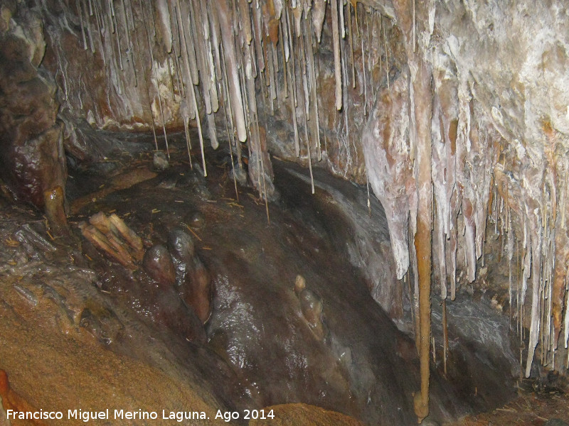 Cueva de la Canalizacin - Cueva de la Canalizacin. 