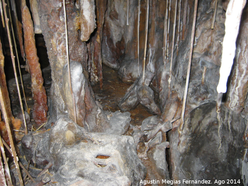 Cueva de la Canalizacin - Cueva de la Canalizacin. 