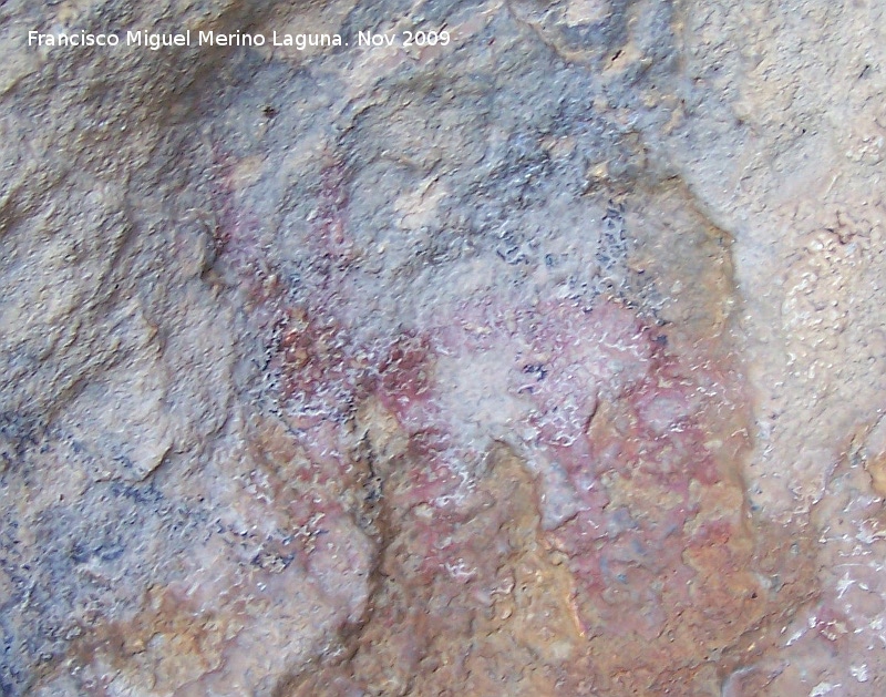 Pinturas rupestres de la Cueva de la Graja-Grupo III - Pinturas rupestres de la Cueva de la Graja-Grupo III. Zooformo derecho