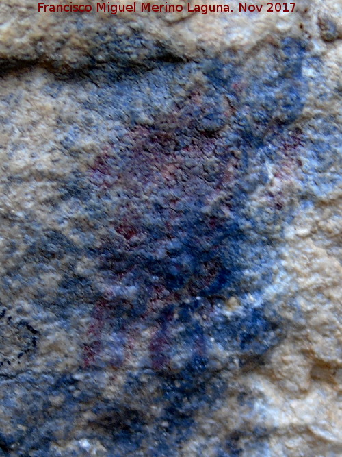Pinturas rupestres de la Cueva de la Graja-Grupo X - Pinturas rupestres de la Cueva de la Graja-Grupo X. Pectiniforme pequeo