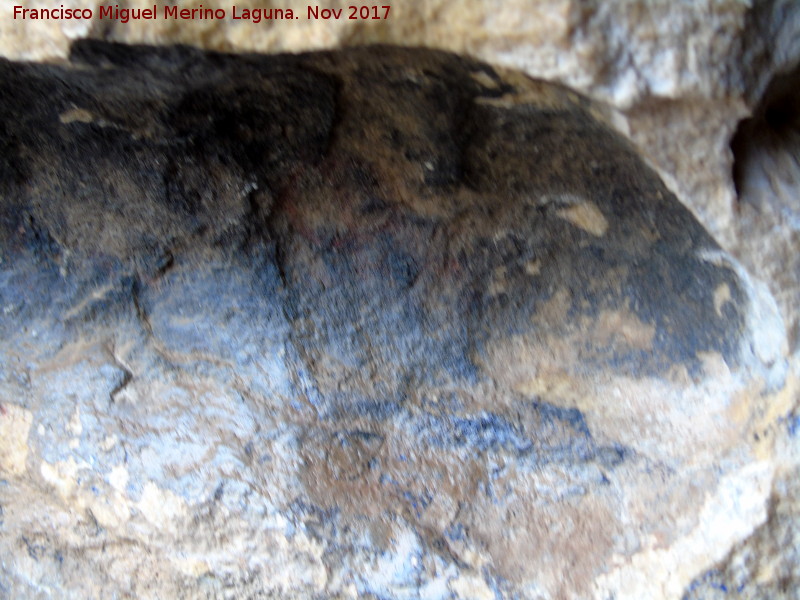 Pinturas rupestres de la Cueva de la Graja-Grupo X - Pinturas rupestres de la Cueva de la Graja-Grupo X. Zona donde se encuentran los antropomorfos phi desvados