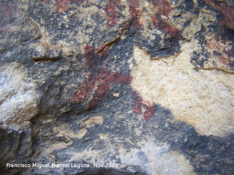 Pinturas rupestres de la Cueva de la Graja-Grupo IX - Pinturas rupestres de la Cueva de la Graja-Grupo IX. Cabra