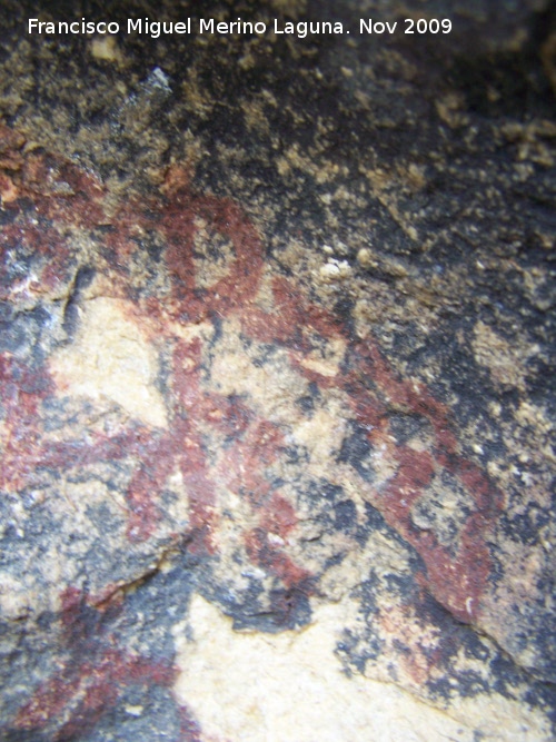 Pinturas rupestres de la Cueva de la Graja-Grupo IX - Pinturas rupestres de la Cueva de la Graja-Grupo IX. Antropomorfo partiendo de l lneas en zig-zag