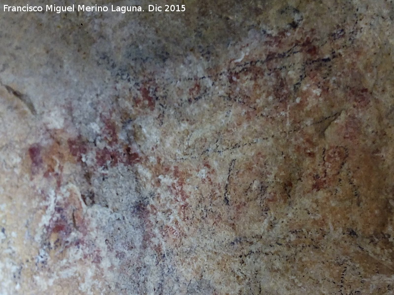 Pinturas rupestres de la Cueva de la Graja-Grupo XVI - Pinturas rupestres de la Cueva de la Graja-Grupo XVI. 